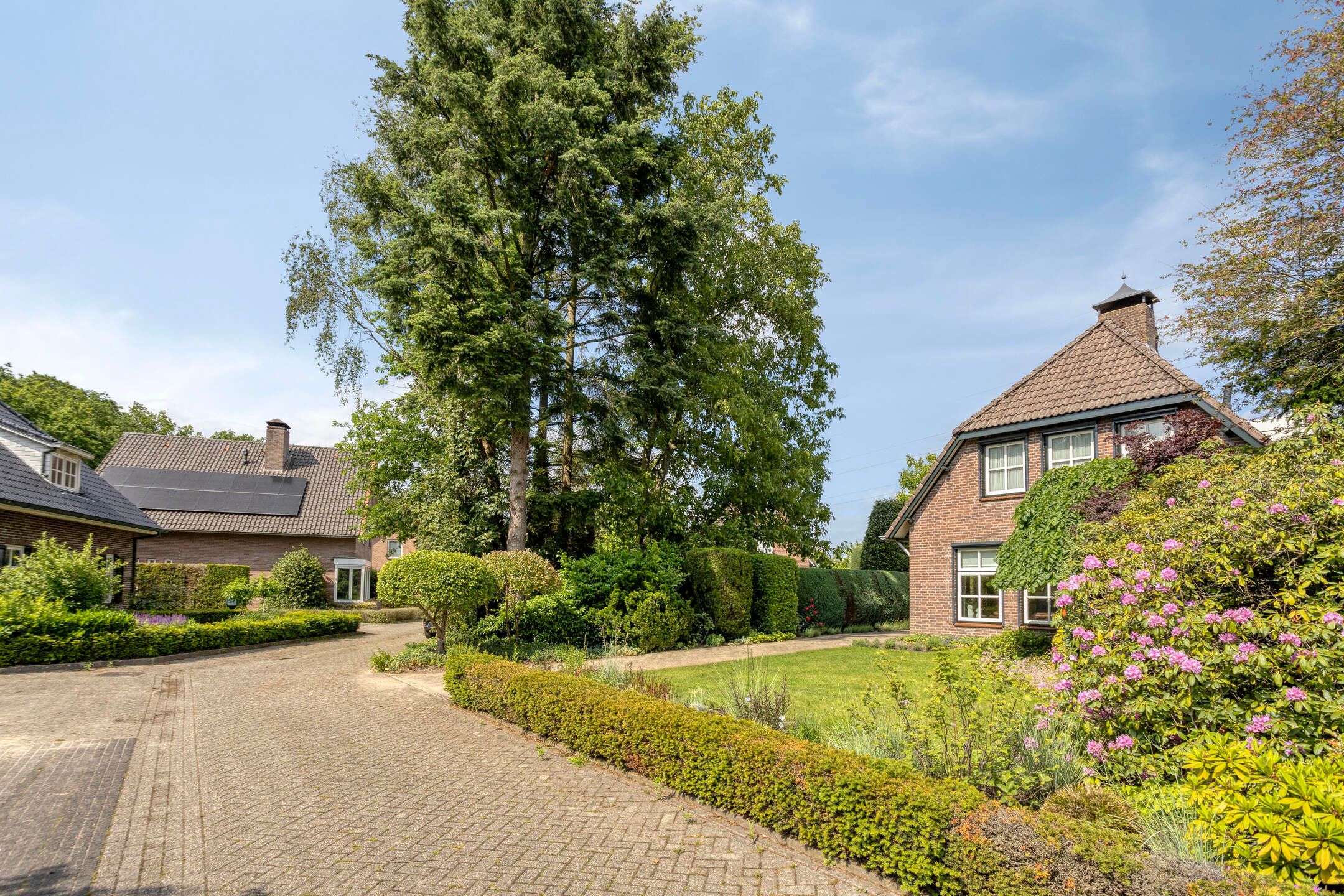 Foto 12 van de Mandenmaker 6