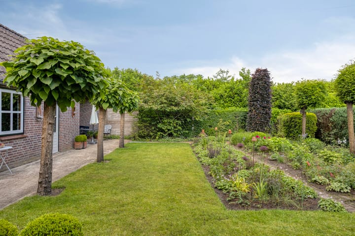 Foto 50 van de Mandenmaker 6