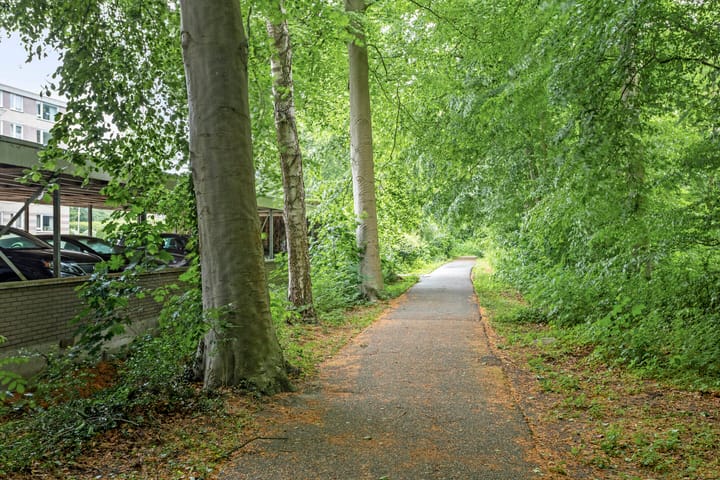 Foto 35 van Statehof 55