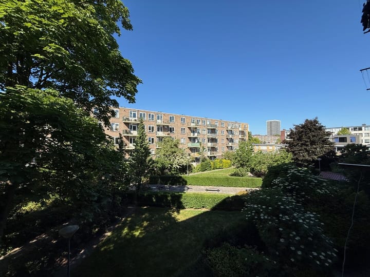 Foto 8 van Van Bijnkershoeklaan 281