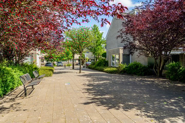 Foto 38 van Bertus Aafjeslaan 44