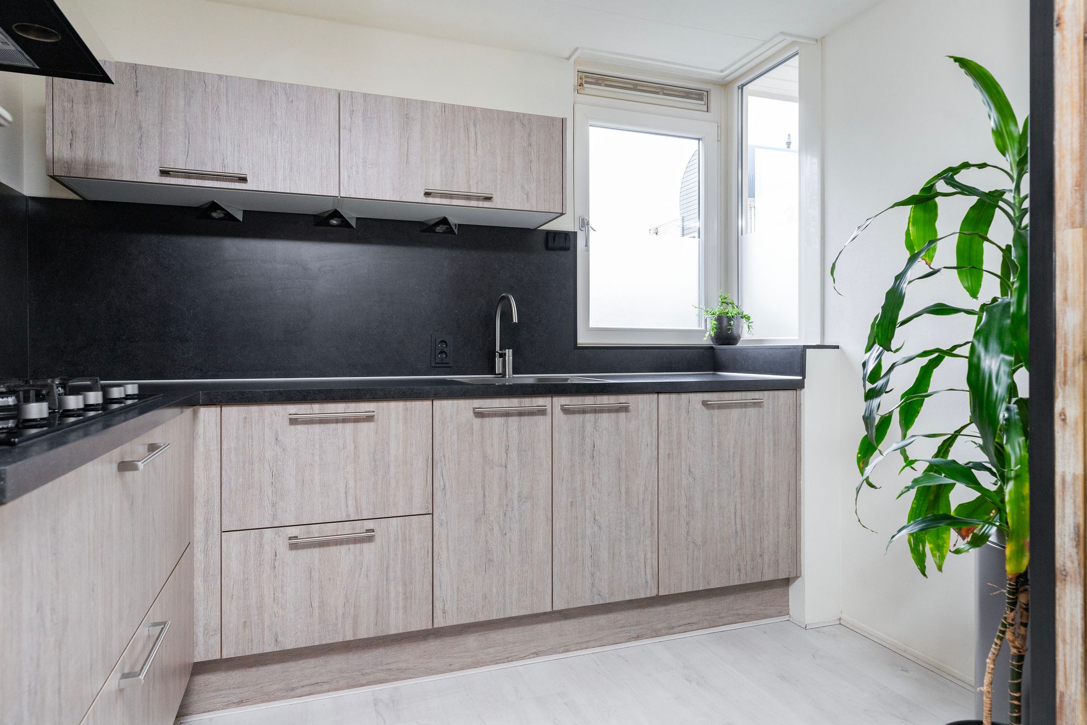 Photo 15 of Lange Maat 115