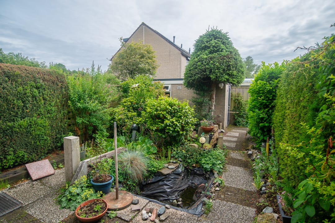 Photo 31 of Palfijnstraat 26