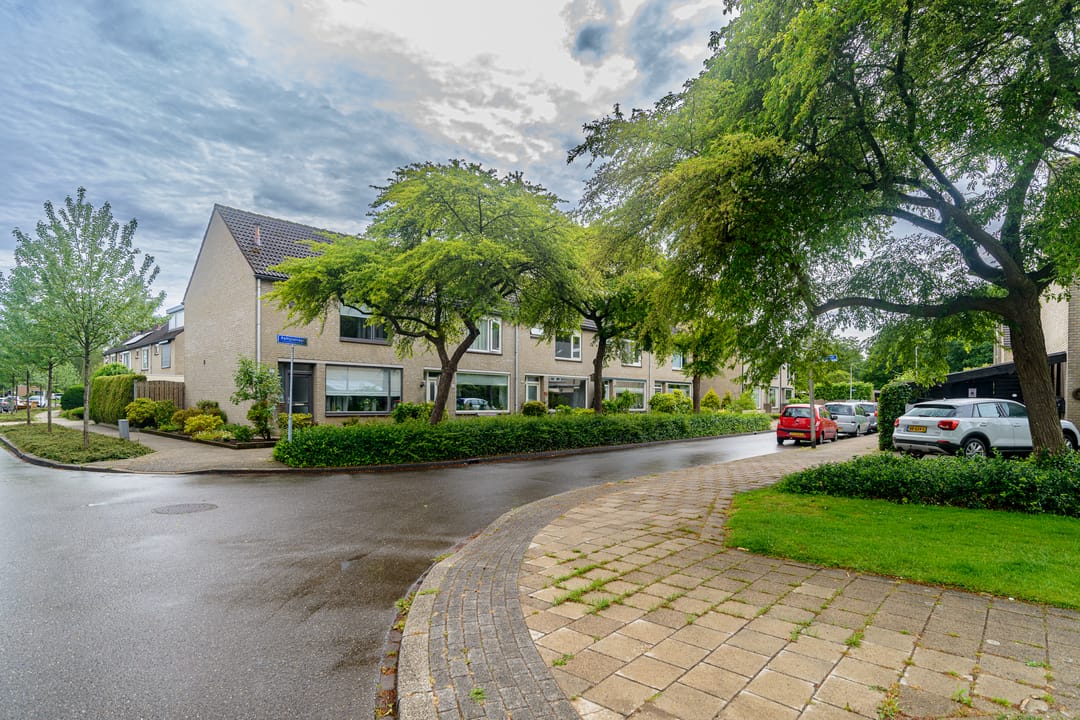 Photo 38 of Palfijnstraat 26