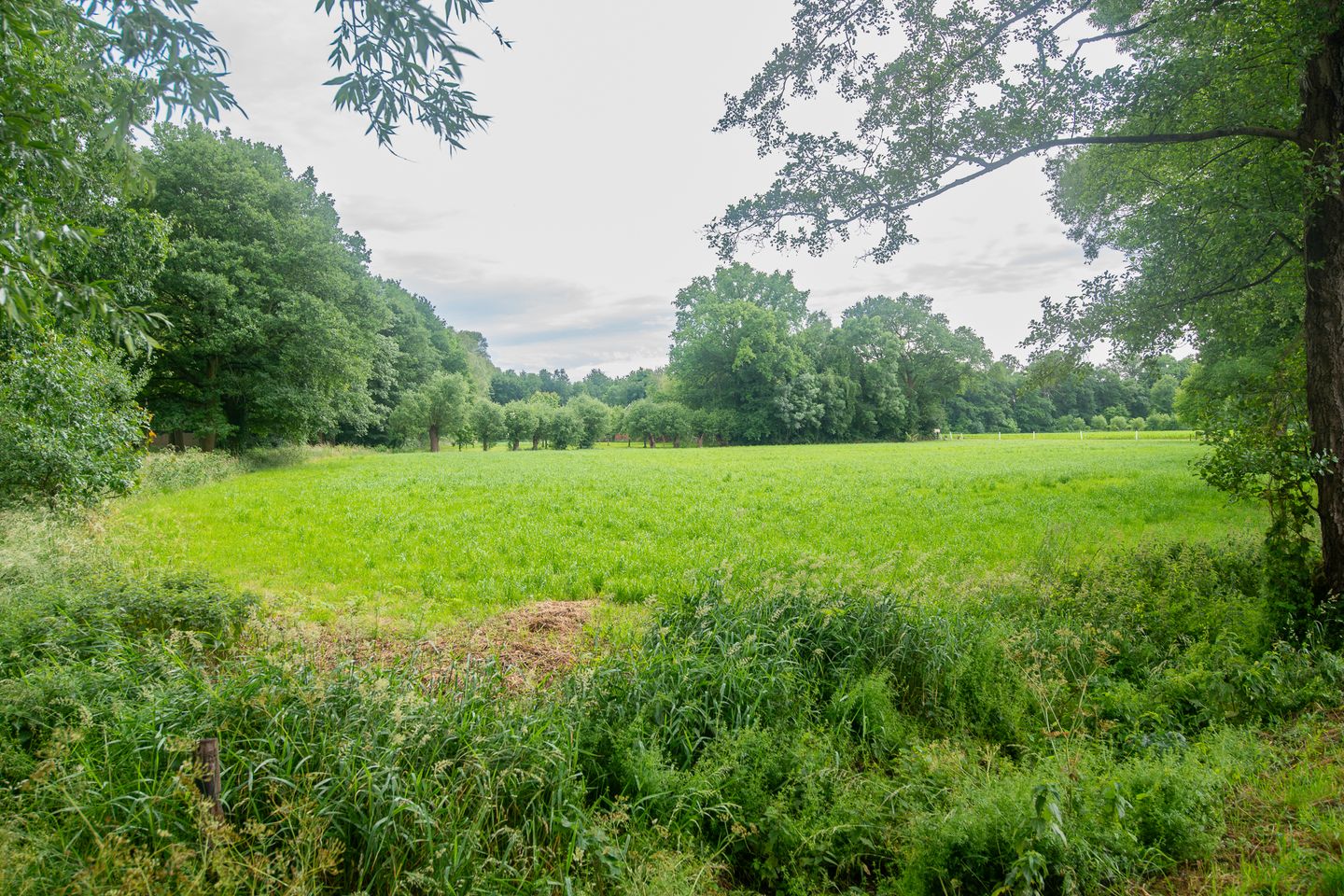 Photo 44 of Palfijnstraat 26