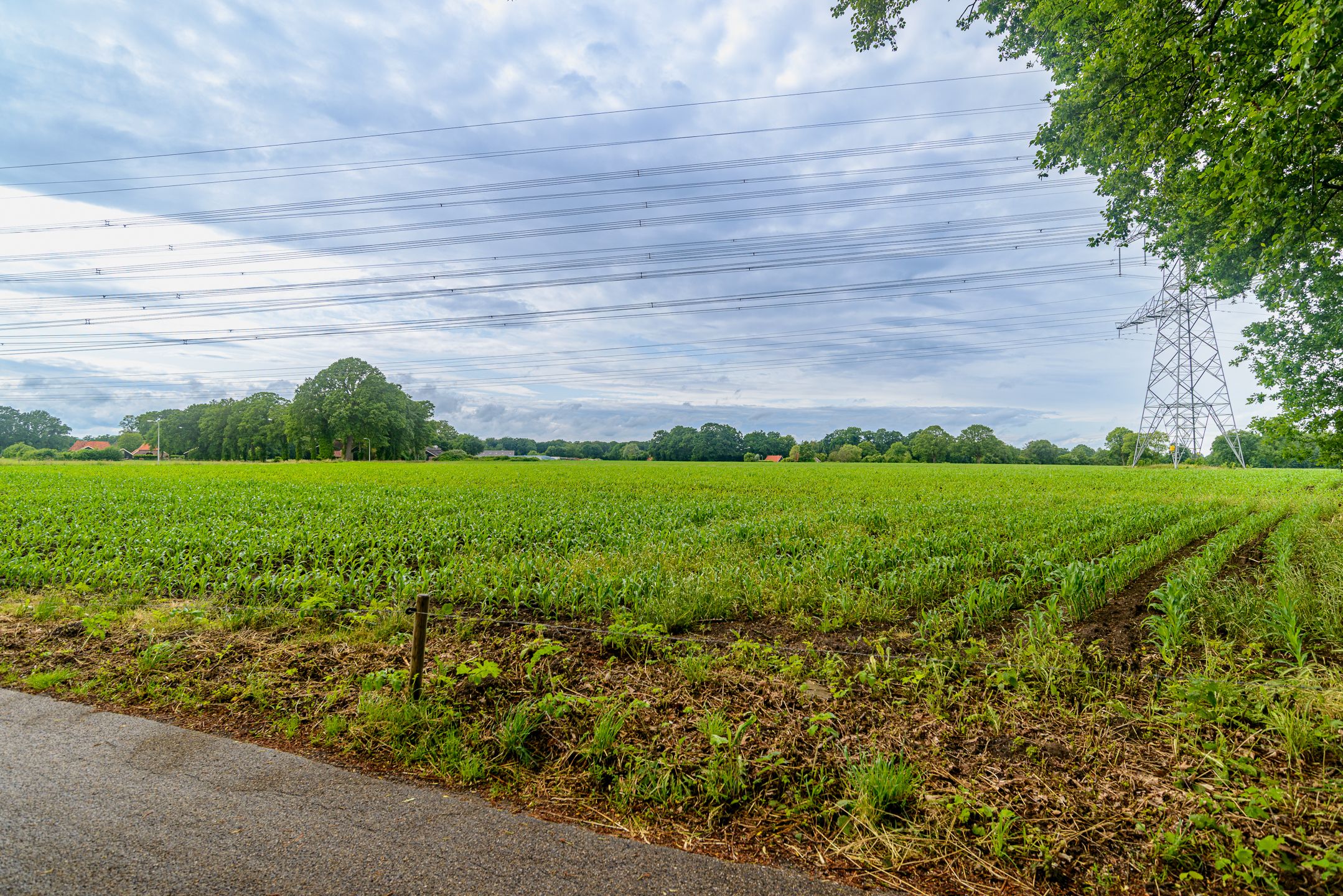 Photo 45 of Palfijnstraat 26