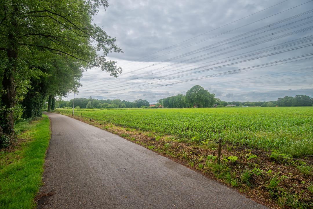 Photo 46 of Palfijnstraat 26