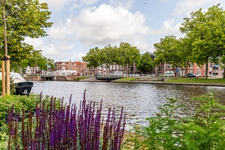 Foto 24 van Zuider Buiten Spaarne 52