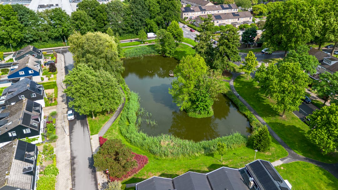 Photo 52 of Palfijnstraat 26