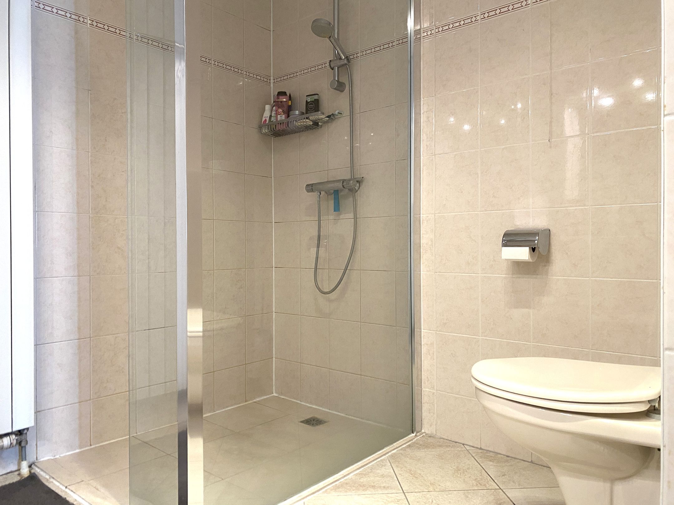 Foto 21 van Lobeliuslaan 150