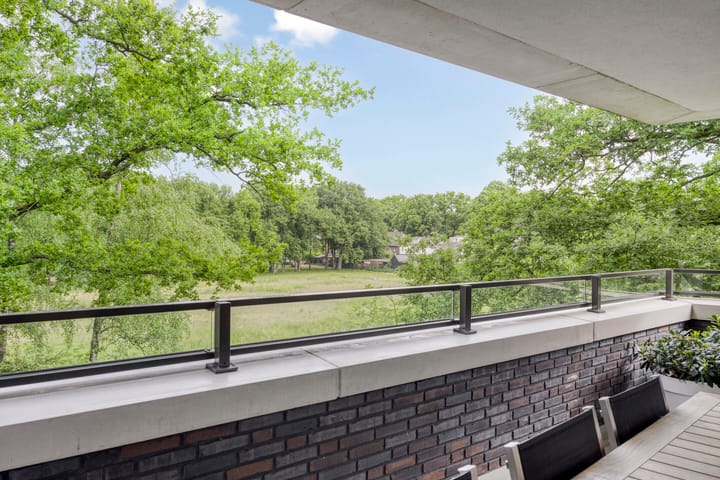 Photo 2 of Willem de Zwijgerlaan 24