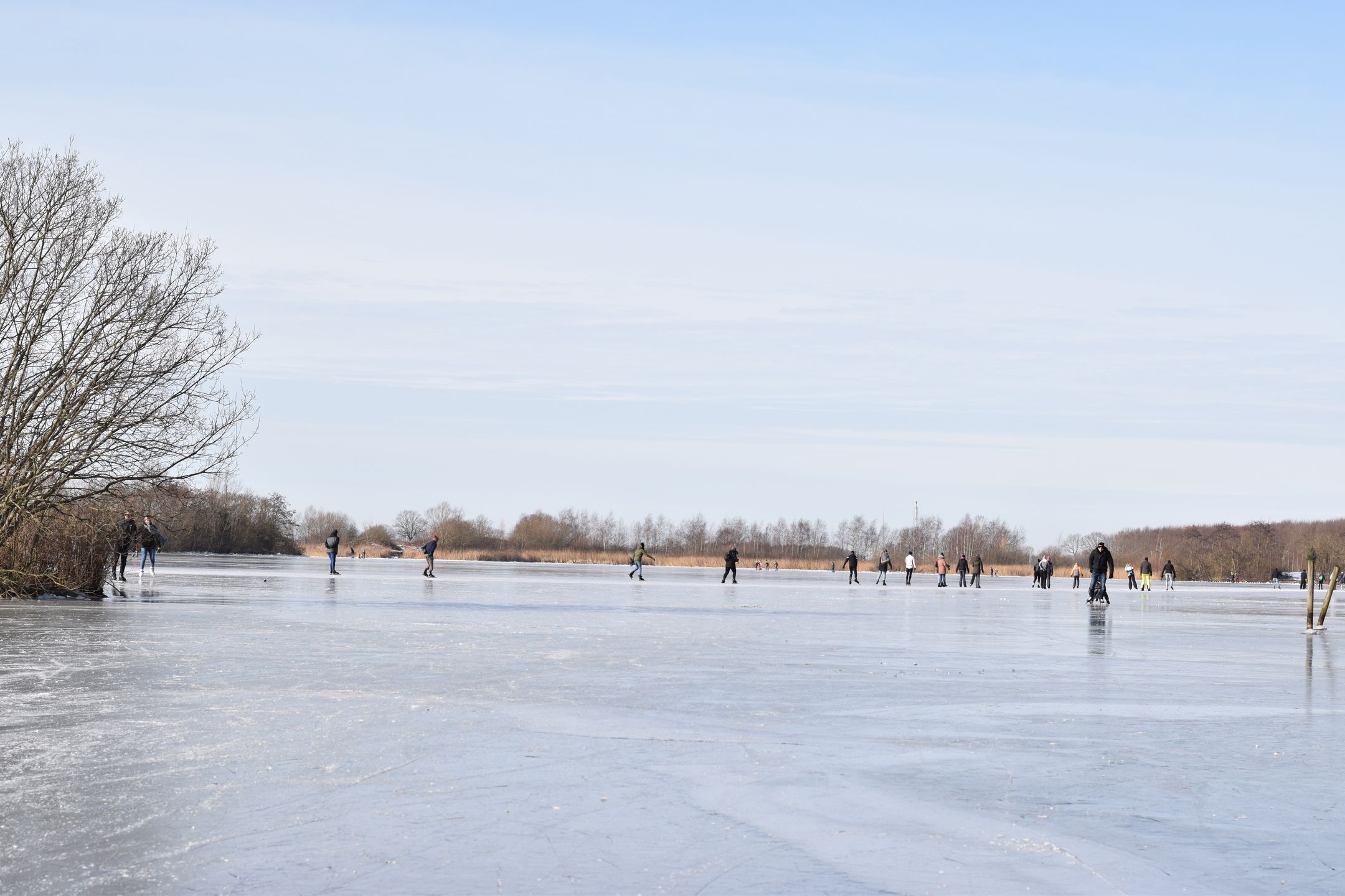 Foto 48 van Zwarthalszwaan 7