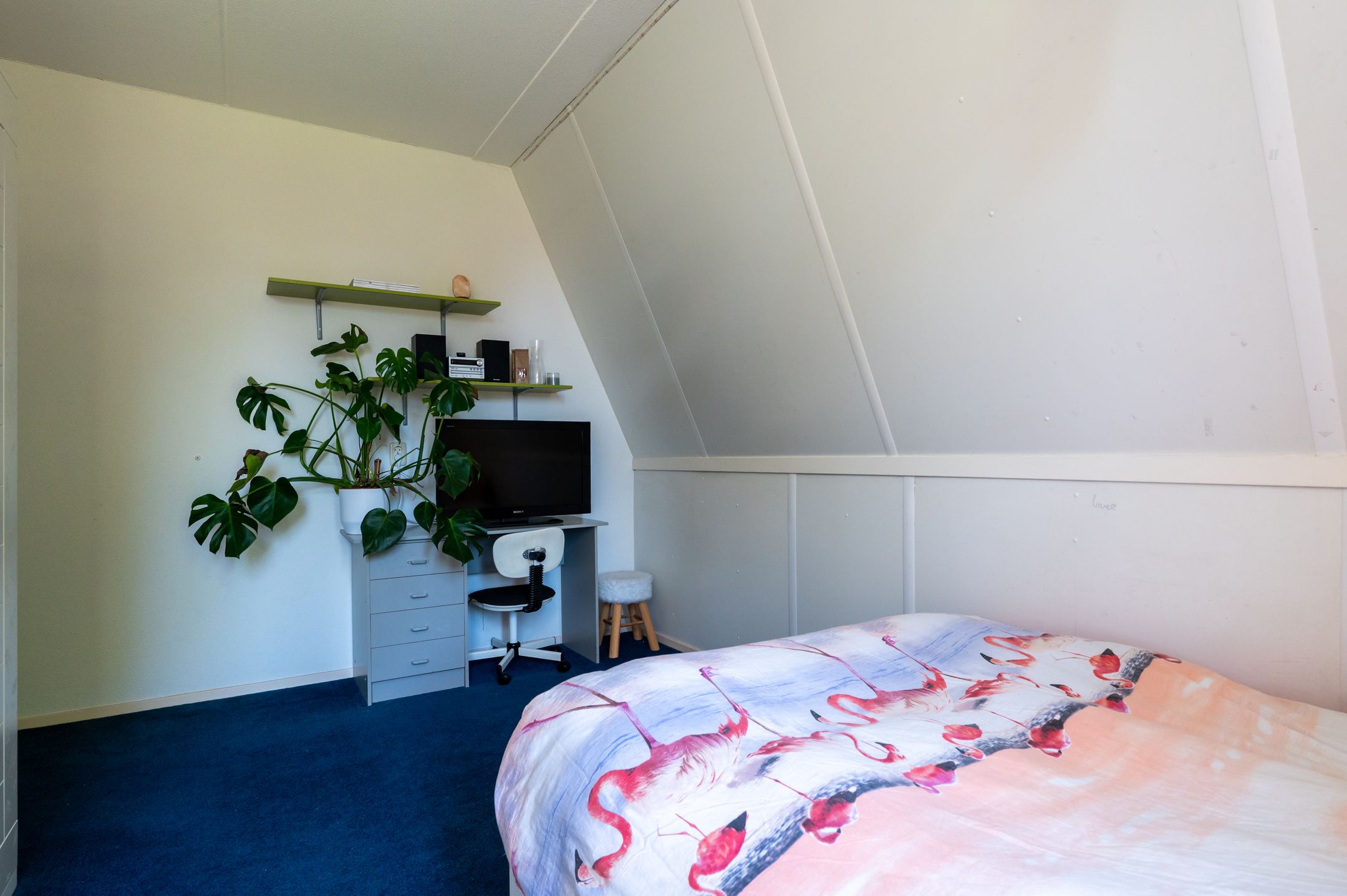 Foto 27 van Reindertpad 2