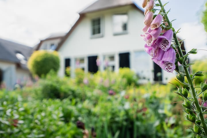 Foto 27 van Rondeweg 30