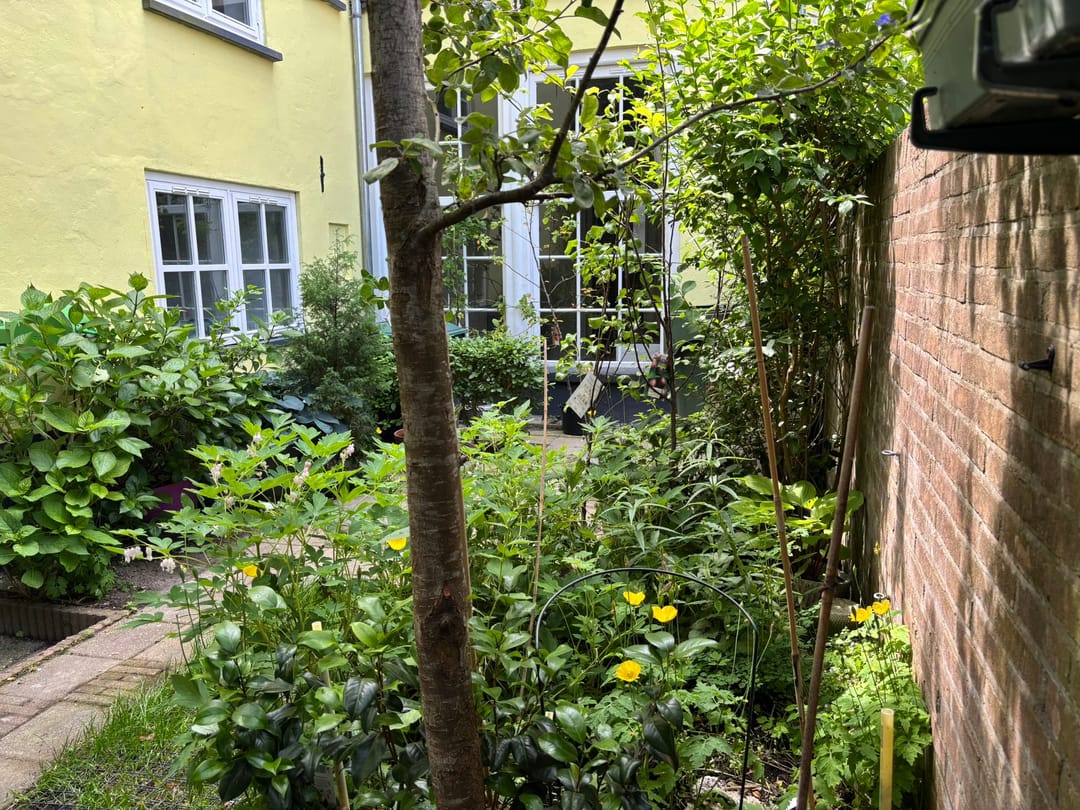 Foto 52 van Burgwal 124