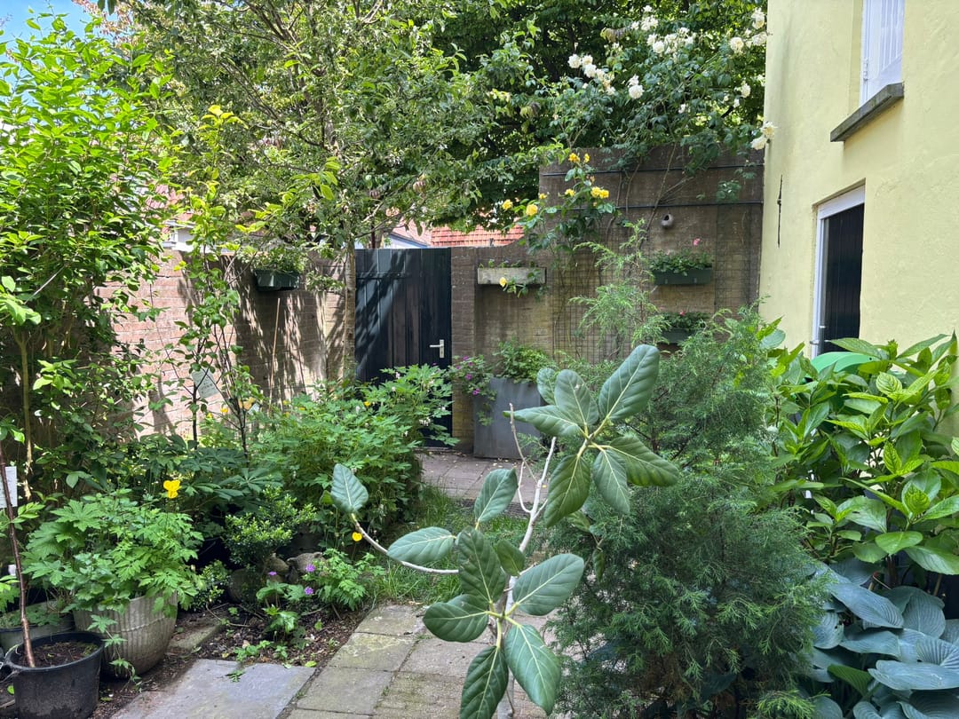 Foto 53 van Burgwal 124