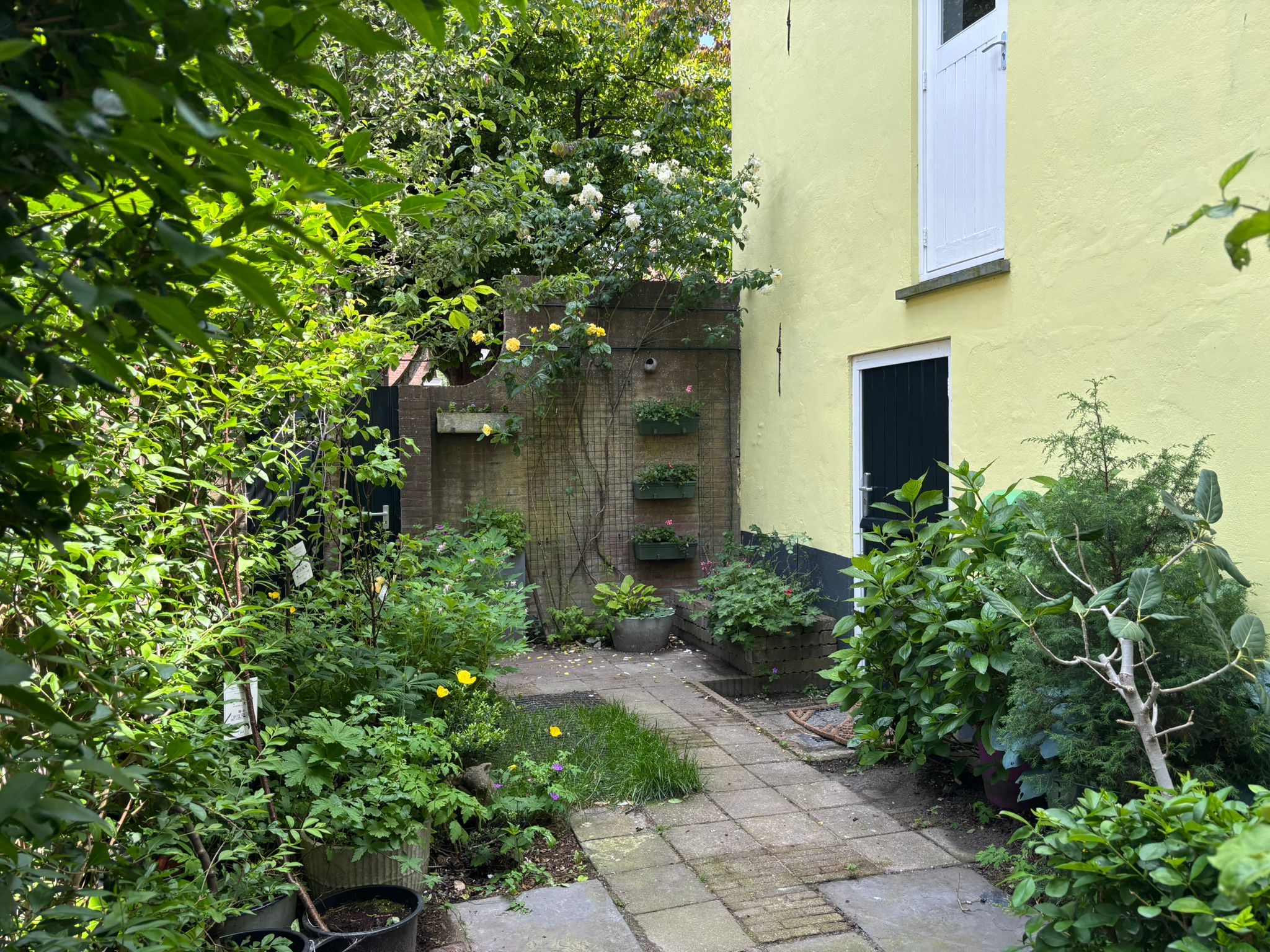 Foto 54 van Burgwal 124