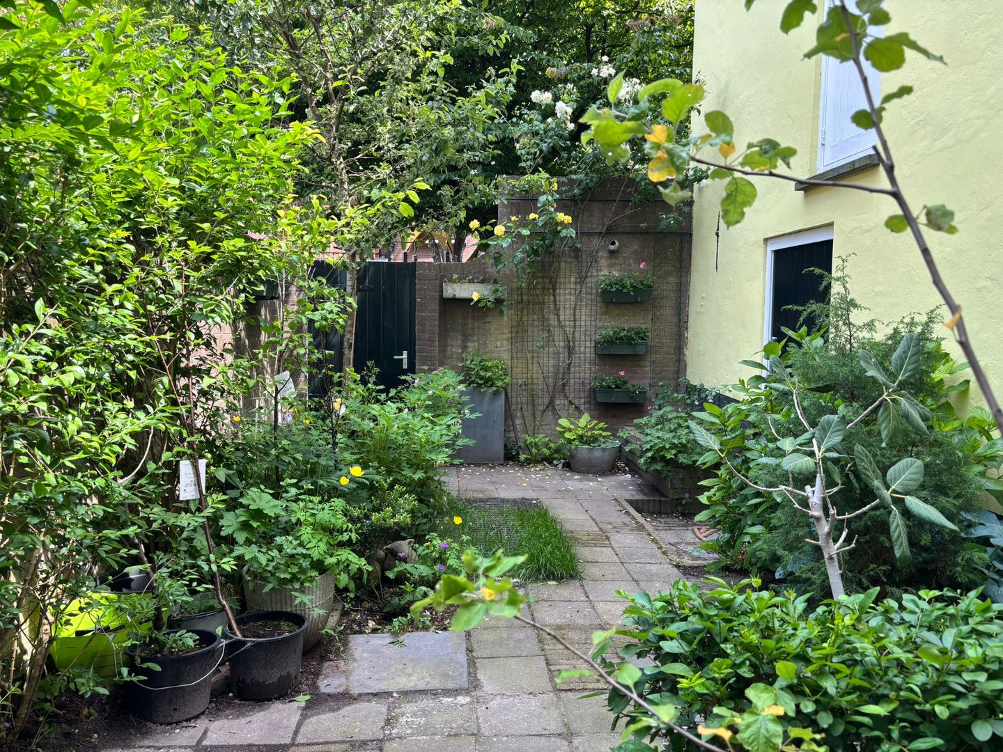 Foto 55 van Burgwal 124