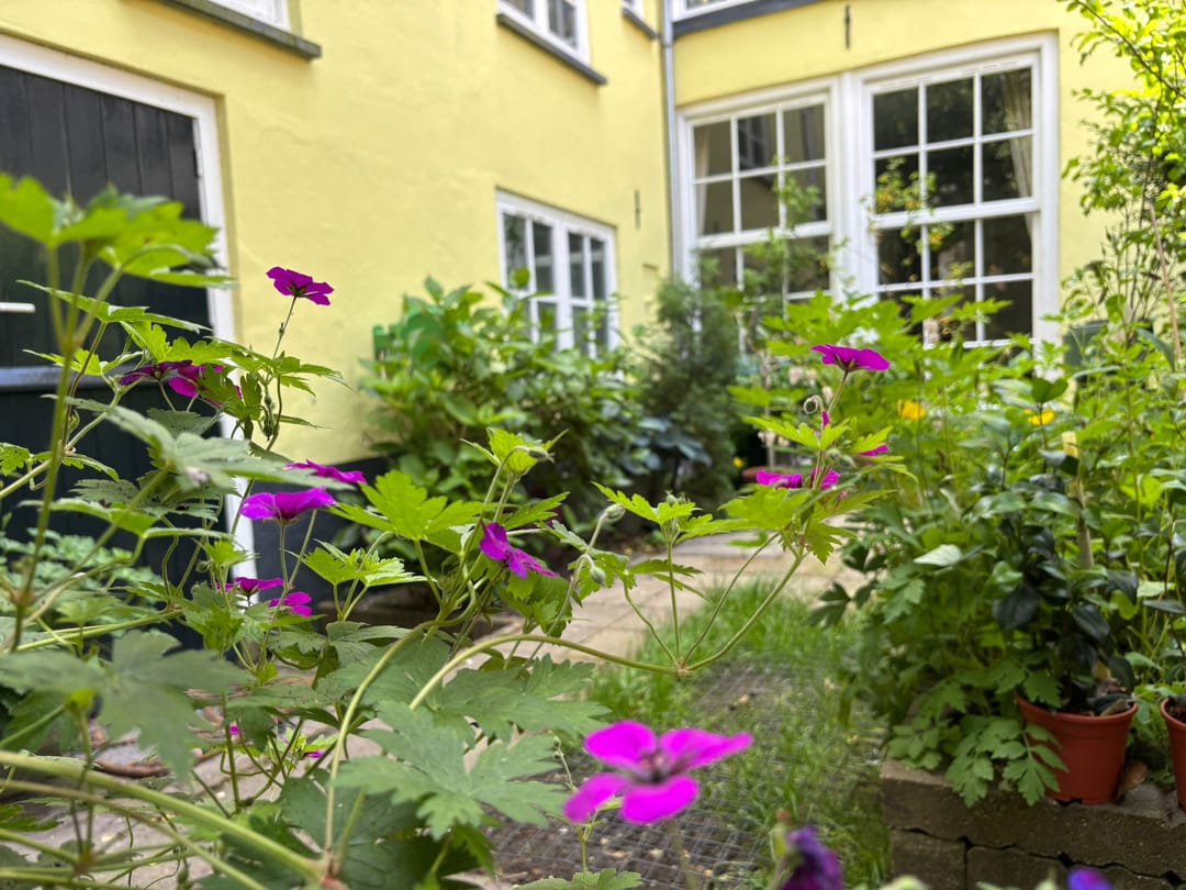 Foto 56 van Burgwal 124