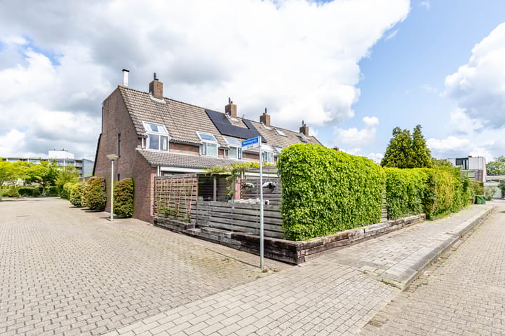 Foto 6 van Mannagras 32