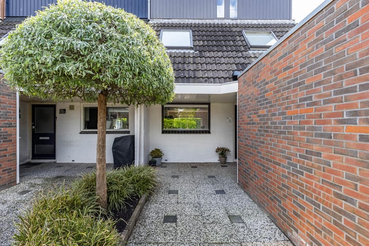 Foto 15 van Mannagras 32