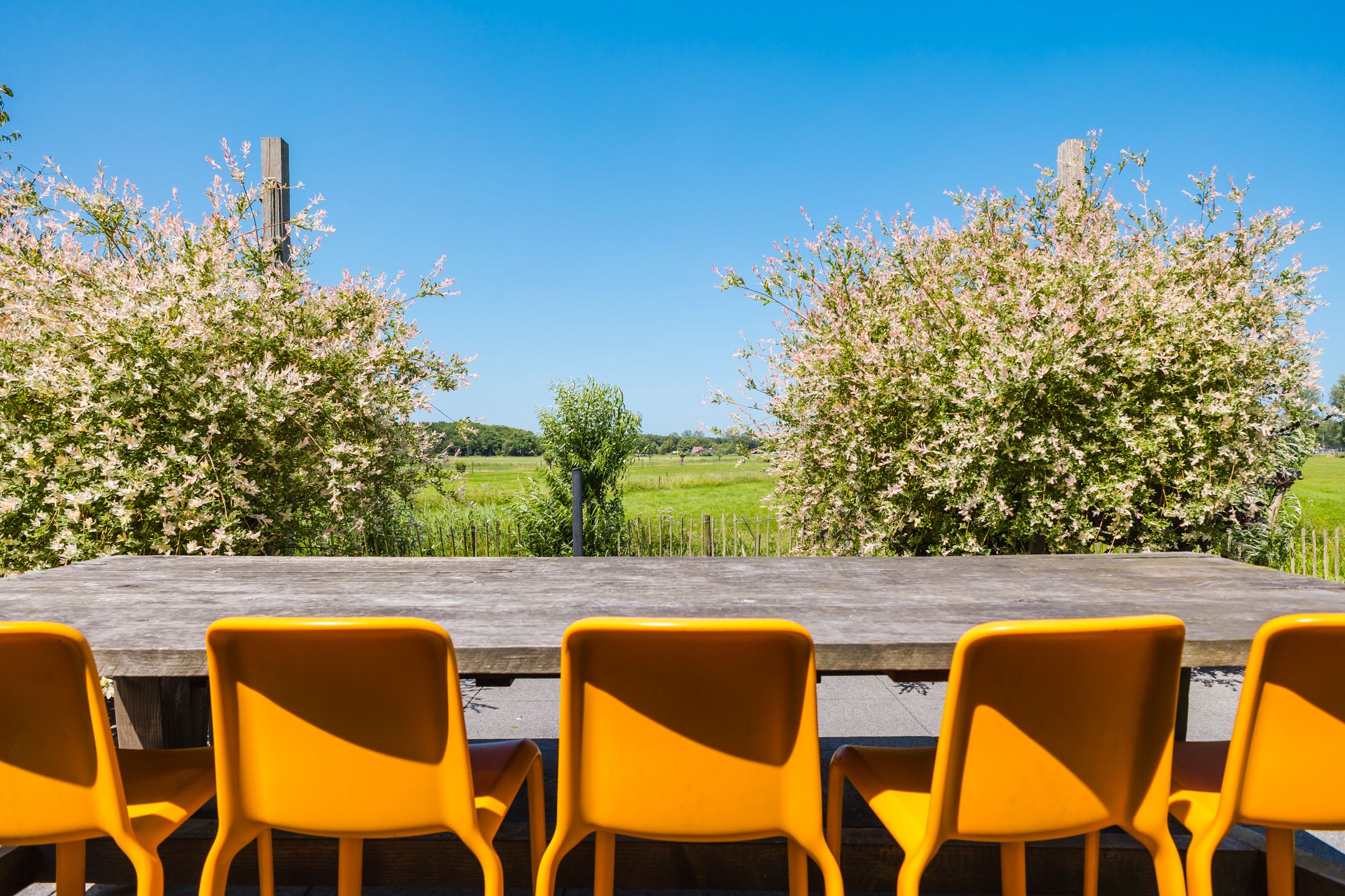 Foto 15 van Alde Dyk 34