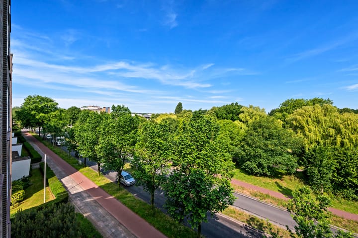 Foto 4 van Segbroeklaan 284