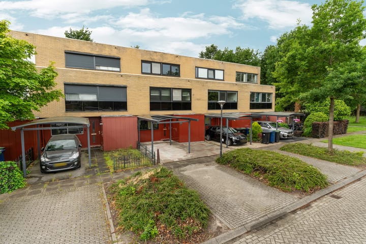 undefined main image