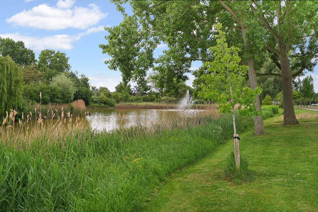 Foto 28 van Lekstraat 19