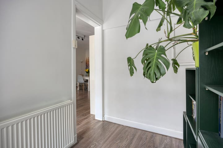 Foto 19 van Willem Buytewechstraat 207-B