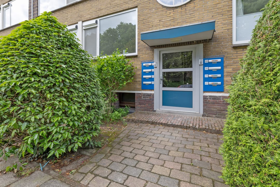 Foto 7 van Sportparklaan 251