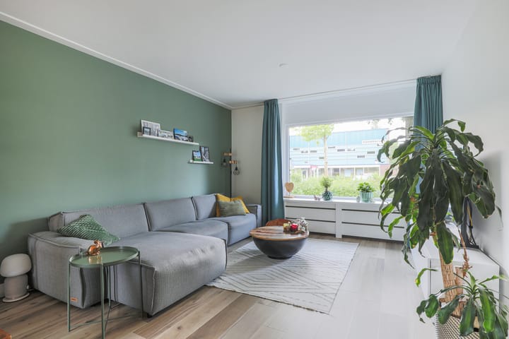 Foto 2 van Ridderspoor 3