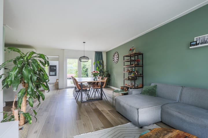 Foto 3 van Ridderspoor 3