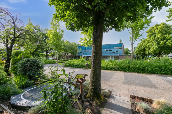 Foto 39 van Ridderspoor 3