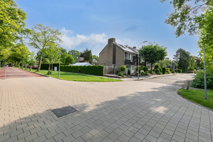 Foto 40 van Ridderspoor 3