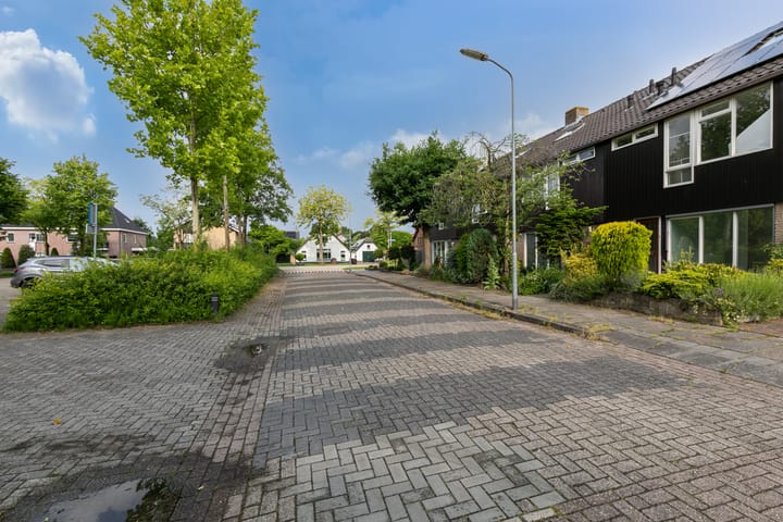 Foto 41 van Ridderspoor 3