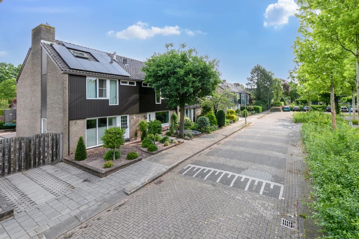 Foto 42 van Ridderspoor 3