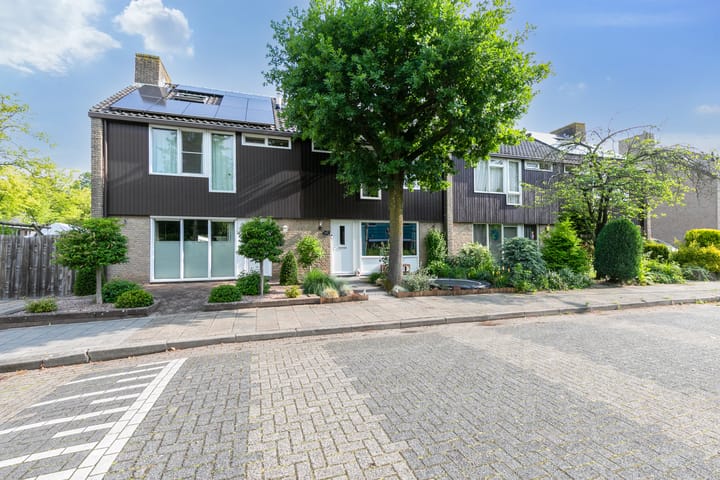 Foto 45 van Ridderspoor 3