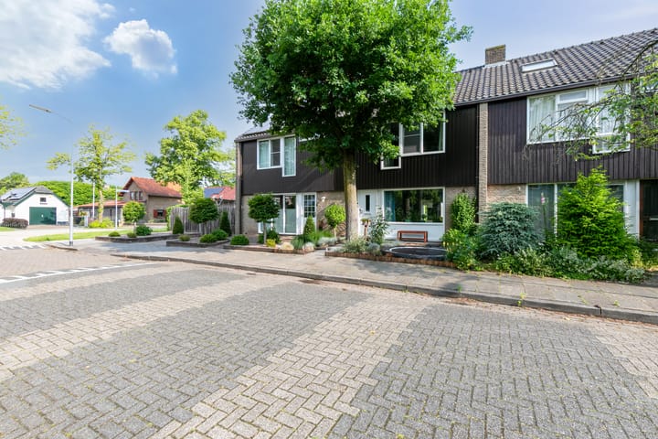 Foto 46 van Ridderspoor 3