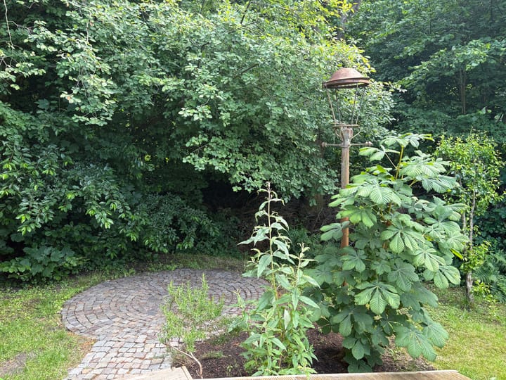 Foto 4 van Eerste Kruishaarseweg 9-048