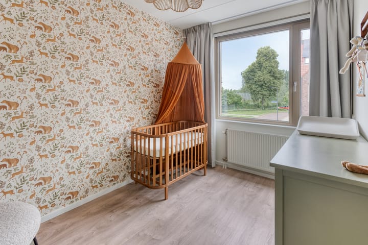 Photo 19 of van Wandelenstraat 1