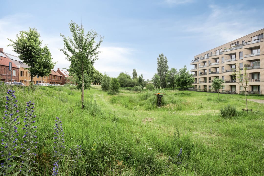 Foto 28 van van Wandelenstraat 1