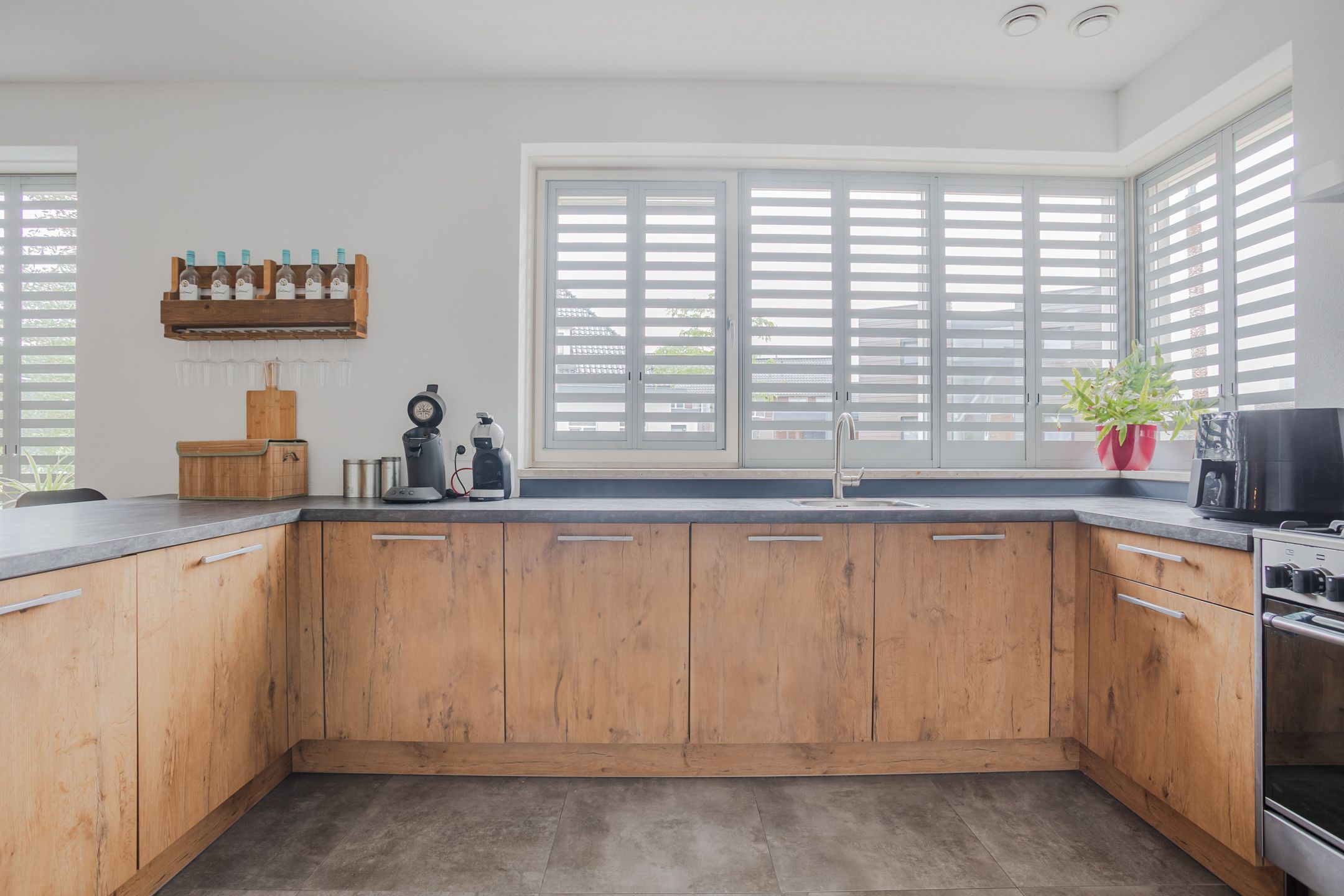 Foto 18 van Knopkruid 17