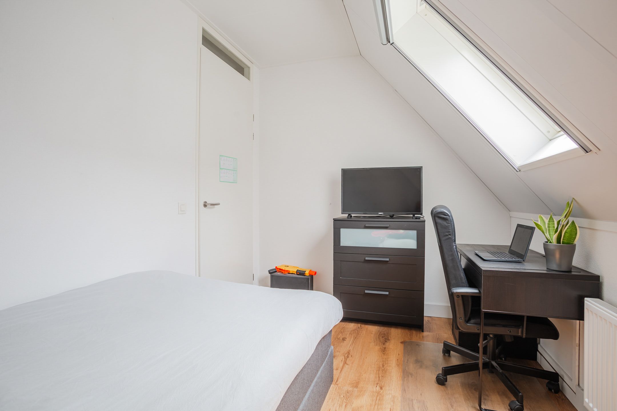 Foto 33 van Knopkruid 17