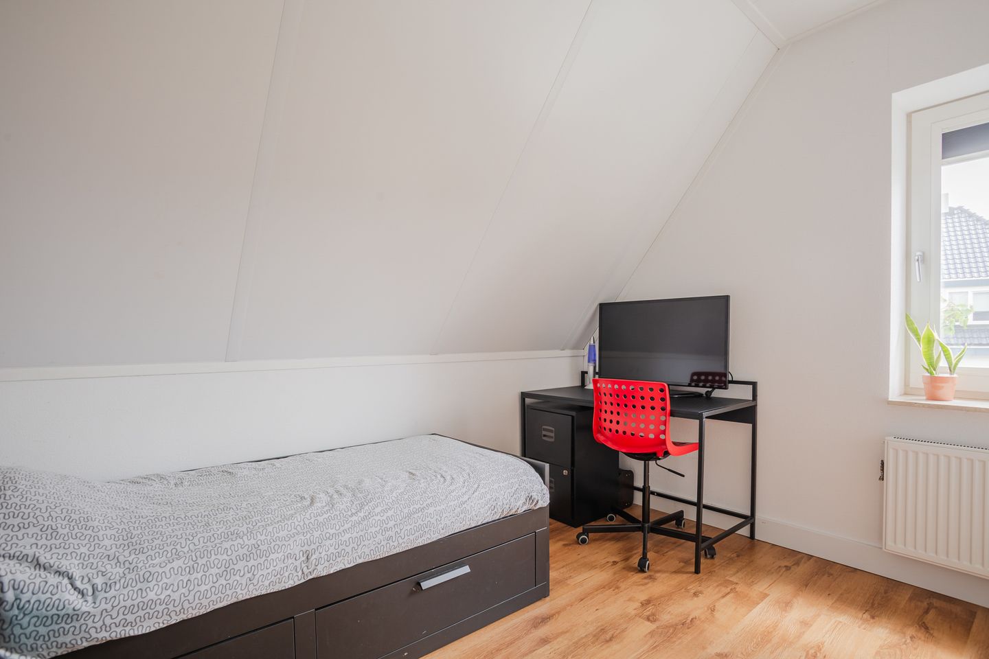 Foto 34 van Knopkruid 17