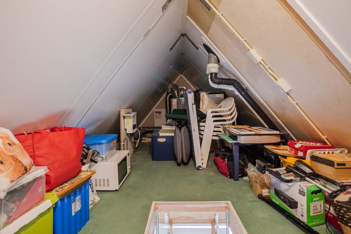 Foto 43 van Knopkruid 17