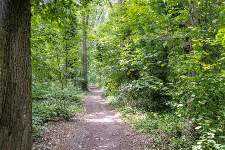 Foto 36 van St Plechelmuspad 3