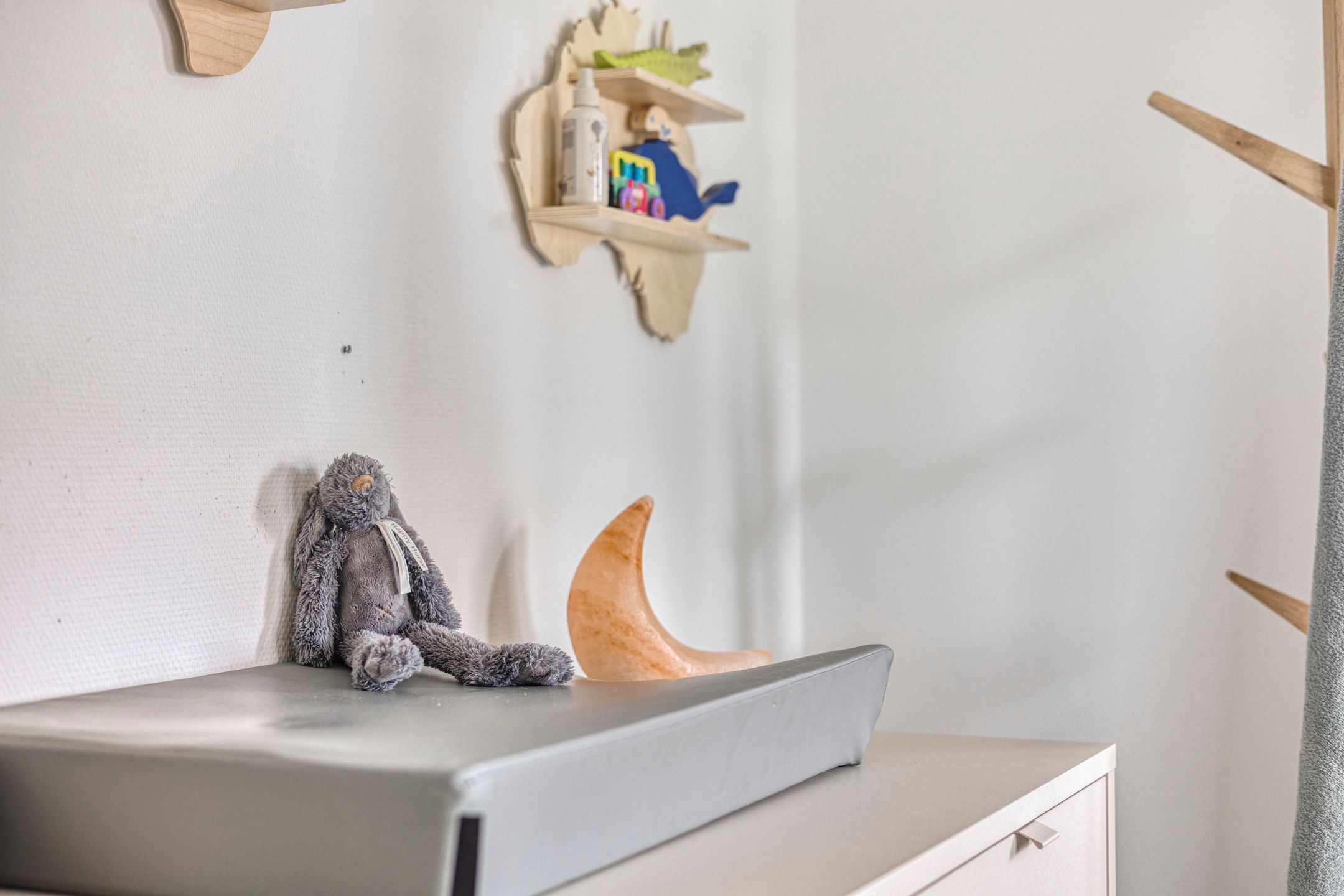 Foto 39 van Lijsterbeslaan 41