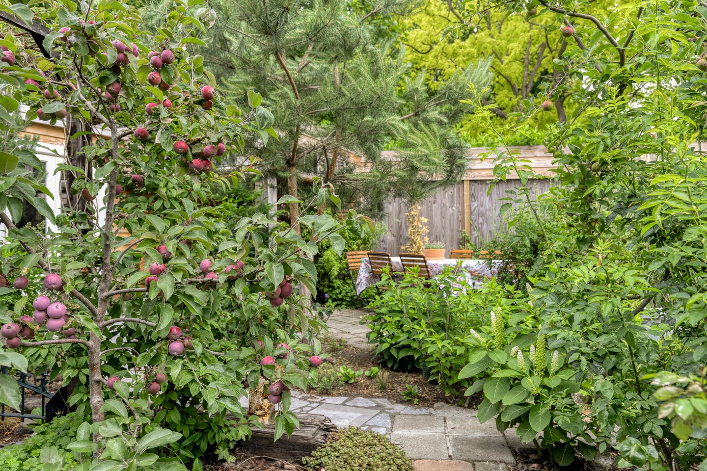 Foto 44 van Pastoor van Ettenstraat 5