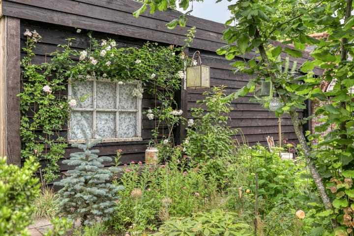 Foto 50 van Pastoor van Ettenstraat 5